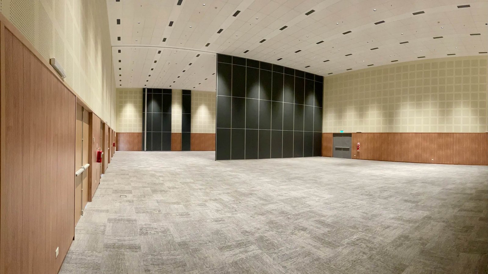 Sala y panel de Domuyo